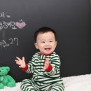 네버랜드，앨리스스튜디오 이미지