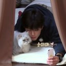 새들민박 이미지