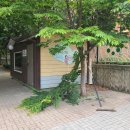 솔터초교 이미지