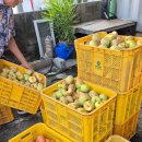 신토불이건강원 이미지