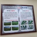 현추어탕
