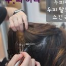 수원-1770 이미지