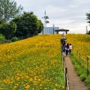 수원올림픽공원 이미지