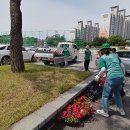 온천2동-28 이미지