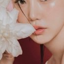 팔렛필즈(Palet Peelz)