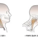 스탠바이짐 세종점 이미지