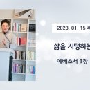 주일프라자