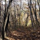 사람곡간 이미지