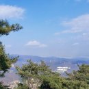 염광의원 이미지