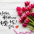 무작정 Daum카페