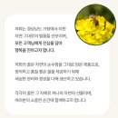 허니비 | 센스 있는 꿀 선물 찾는다면? 허니비해피 튜브꿀 솔직 방문 후기