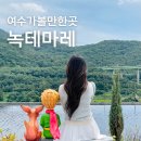 솜미디어 | 여수아이와가볼만한곳 녹테마레 미디어아트 종합권 후기