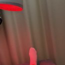 삼성뉴본재활의학과의원 | [251117] 재활병원을 가다 (십자인대재건술 / 반월상연골봉합술)