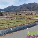 해남터널~송운교차로 이미지