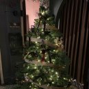 핀초 | 하노이 맛집 ｜ 핀초 타파스 키친 Pincho Tapas Kitchen 홀리데이 메뉴 크리스마스 세트 후기