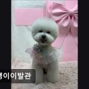 평택이발관 네이버블로그