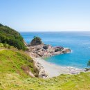 바람의 언덕 이미지