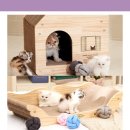 멍냥펀치 이미지