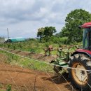 진도체리원 이미지