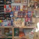 릴리네 애견미용실 이미지