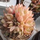 지혜의샘터 이미지