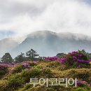 포시즌스호텔