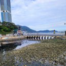 구름산책로 | [부산 여행 추천] 바다 위를 걷는 느낌 &#34;부산 송도 구름산책로&#34;