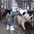 경기도 북부동물위생시험소 이미지