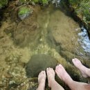 서종별곡 | 양평 숙소 독채 가족펜션 추천 감성 프라이빗 계곡 서종별곡