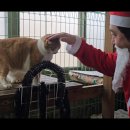 금동이네 이미지