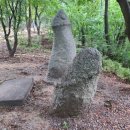 봉서산약수 이미지