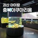 다누리도서관 | 괴산 아이랑 가볼만한곳 충북아쿠아리움 곤충 체험 후기