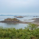 죽도대나무마을영어조합법인 이미지