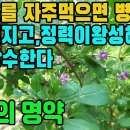 구기자―동서양정력강화제,양기증진,강장,피로회복,항암,근골강화,시력증진,피부미용,발기부전,신체허약,신경쇠약,폐·간·신장질환,당뇨,고혈압, 이미지