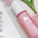 피누스스토어글로벌 이미지