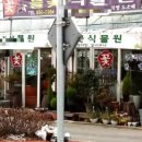 들꽃다육식물 이미지