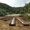 산성 태양광발전소 이미지