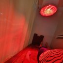 삼족오한의원 이미지