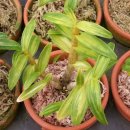 승학빌딩 이미지