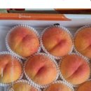 용택농장 이미지