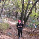 도봉야영장 이미지