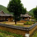 담 Daum카페