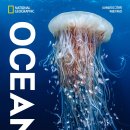 감성스케치B | OCEAN : 가장 거대한 기록 후기, 내셔널지오그래픽이 보여 주는 바닷속 세상과 현실과 미래