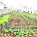 그냥식당 이미지