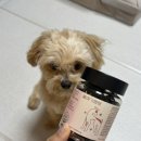 보라종합동물병원 이미지