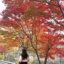 예술공원 수목원 입구 공중화장실 | 서울대학교 관악수목원 직접 다녀온 후기 *주차 꿀팁, 관람 시간, 진행프로그램