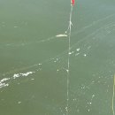 카페패밀리 | 아이와 함께 즐긴 시흥 빙어축제, 패밀리야외낚시카페 리얼 후기