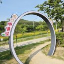 황산 캠핑장 | 양산 황산 공원 캠핑장 장미 오랜만에 이용 후기~~
