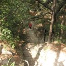 할렐루야농장 이미지