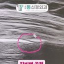 서부통신경외과의원 이미지